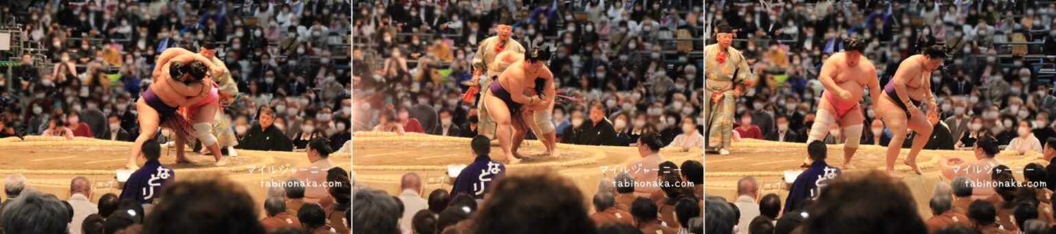 そうだ、相撲を見に行こう!2022年3月大相撲大阪場所観戦記。そうだ、相撲を見に行こう!2022年3月大相撲大阪場所観戦記。